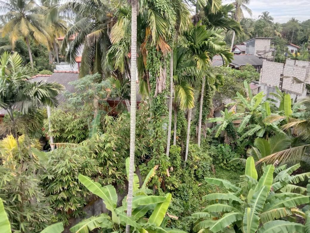 Arcadia Resort Hikkaduwa Oda fotoğraf